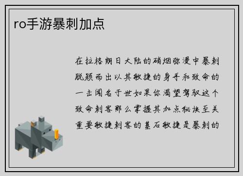 ro手游暴刺加点