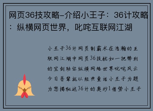 网页36技攻略-介绍小王子：36计攻略：纵横网页世界，叱咤互联网江湖